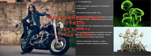 каннабис Новокубанск
