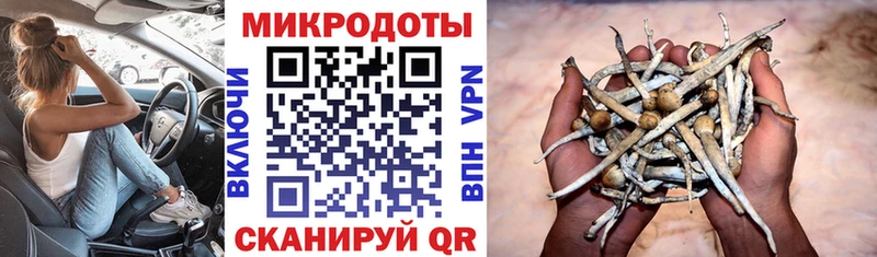 Купить  Зеленокумск  Галлюциногенные грибы GOLDEN TEACHER 