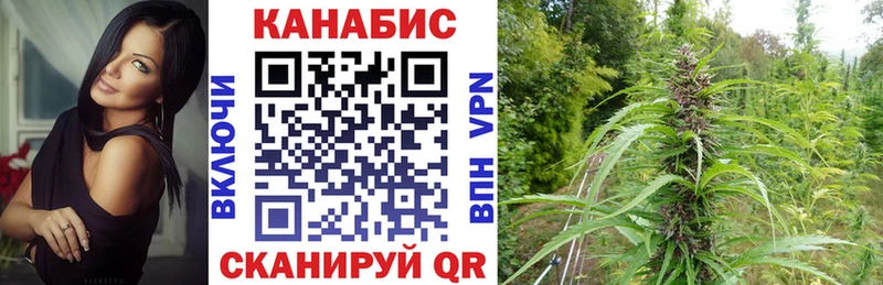 Купить где  Зеленокумск  Бошки Шишки VHQ 